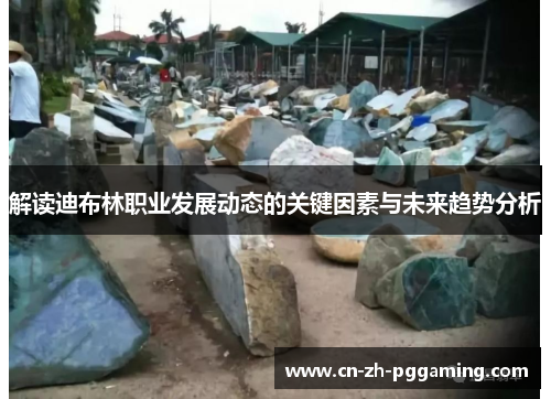 解读迪布林职业发展动态的关键因素与未来趋势分析