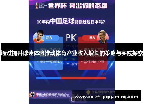 通过提升球迷体验推动体育产业收入增长的策略与实践探索