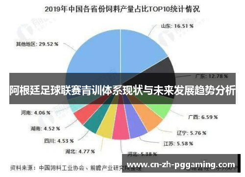阿根廷足球联赛青训体系现状与未来发展趋势分析 阿根廷足球联赛青训体系现状与未来发展趋势分析