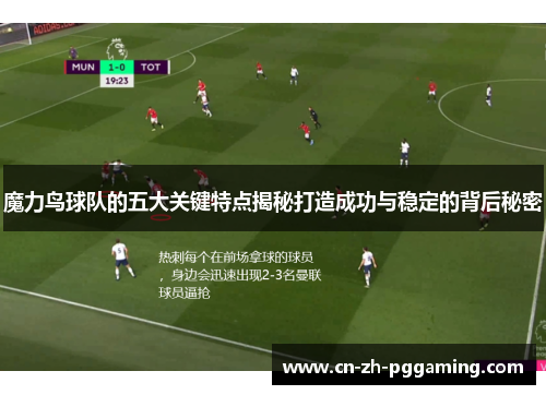 魔力鸟球队的五大关键特点揭秘打造成功与稳定的背后秘密