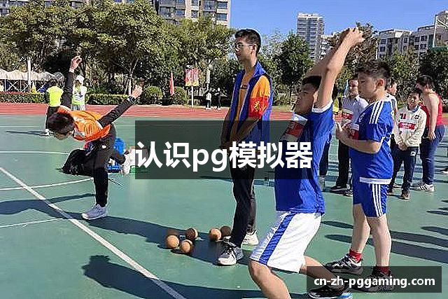 认识pg模拟器